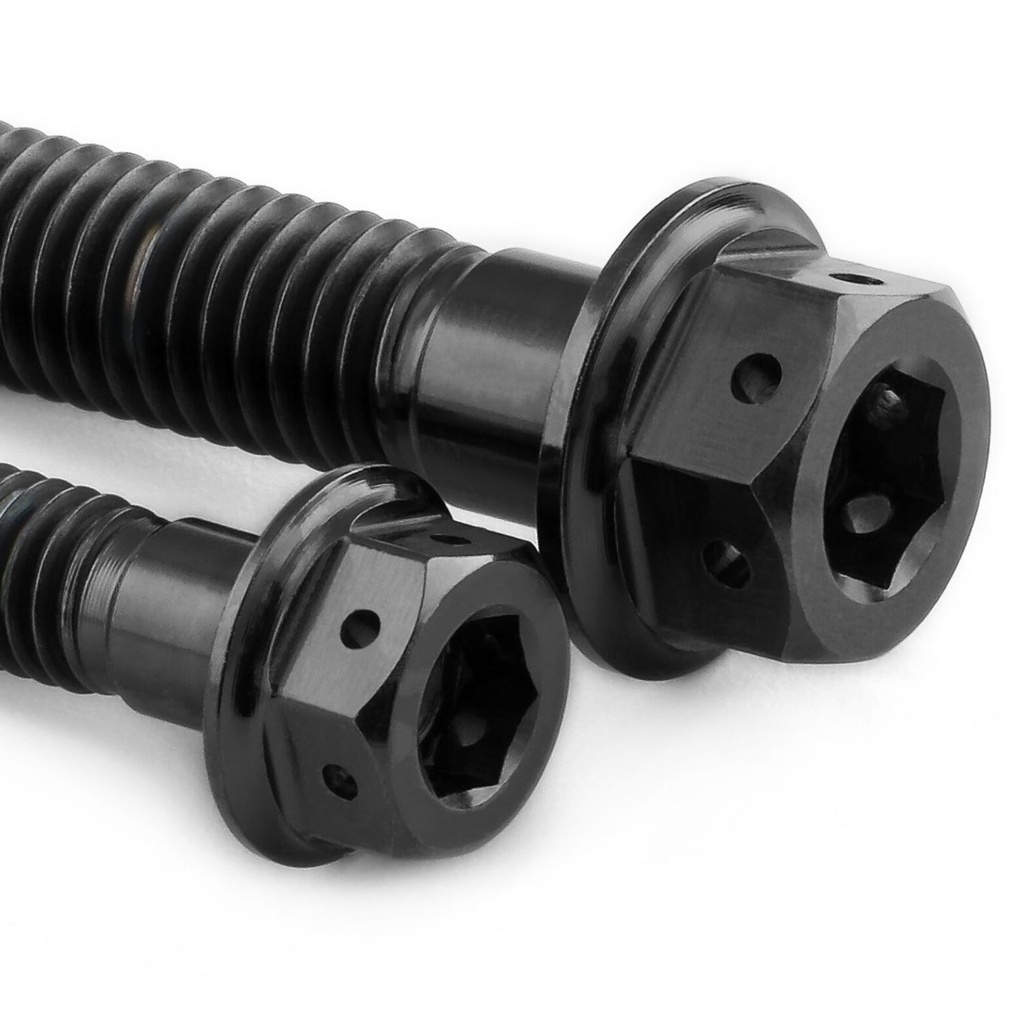 Pro-Bolt Titanium Engine Bolt Kit