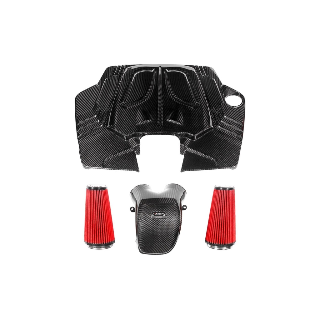 Eventuri Carbon Fibre Intake System