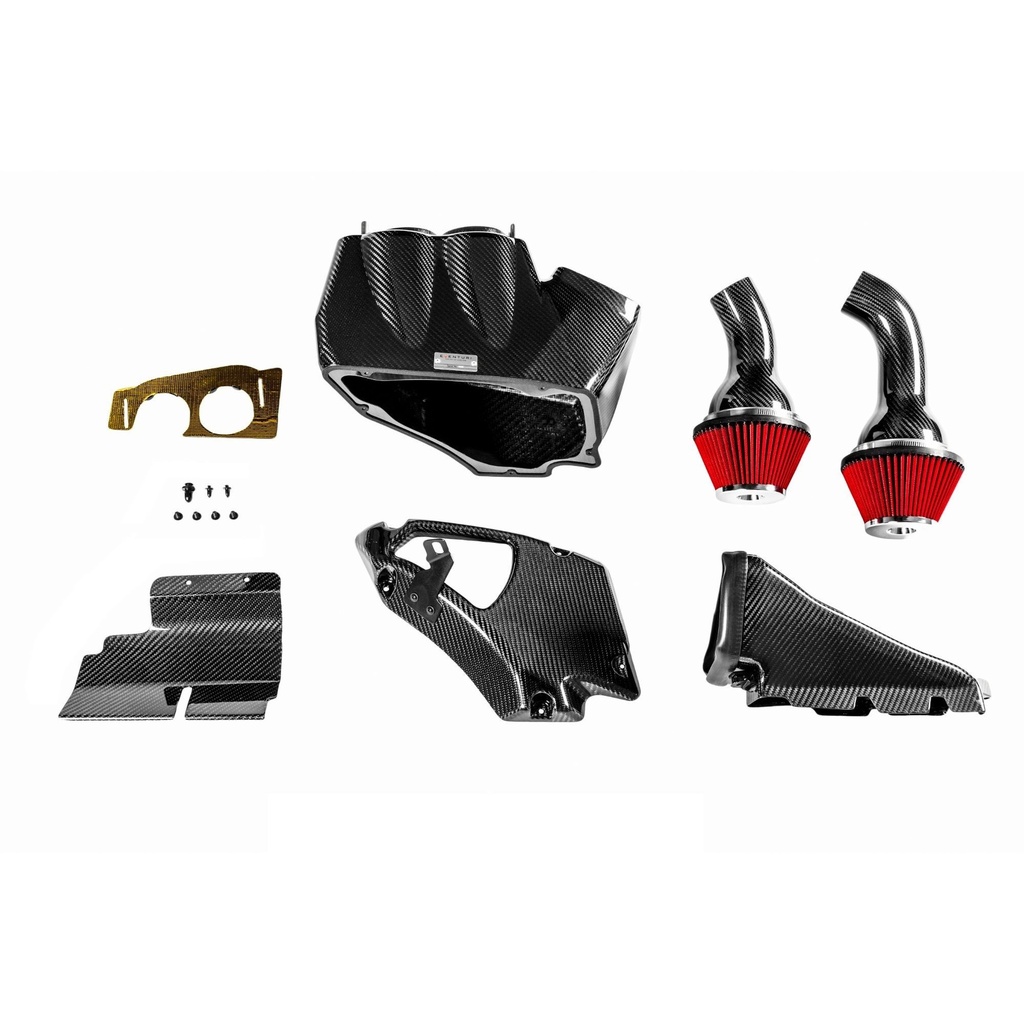 Eventuri Carbon Fibre Intake System