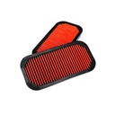 Eventuri Replacement Panel Filter Elements
