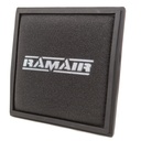 RamAir PRORAM Performance Replacement Element