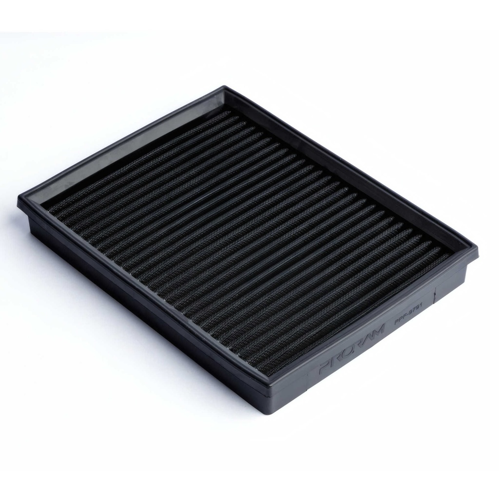 RamAir PRORAM Performance Replacement Element