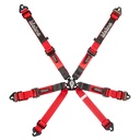 Lifeline Woodcote 6 Point Harness