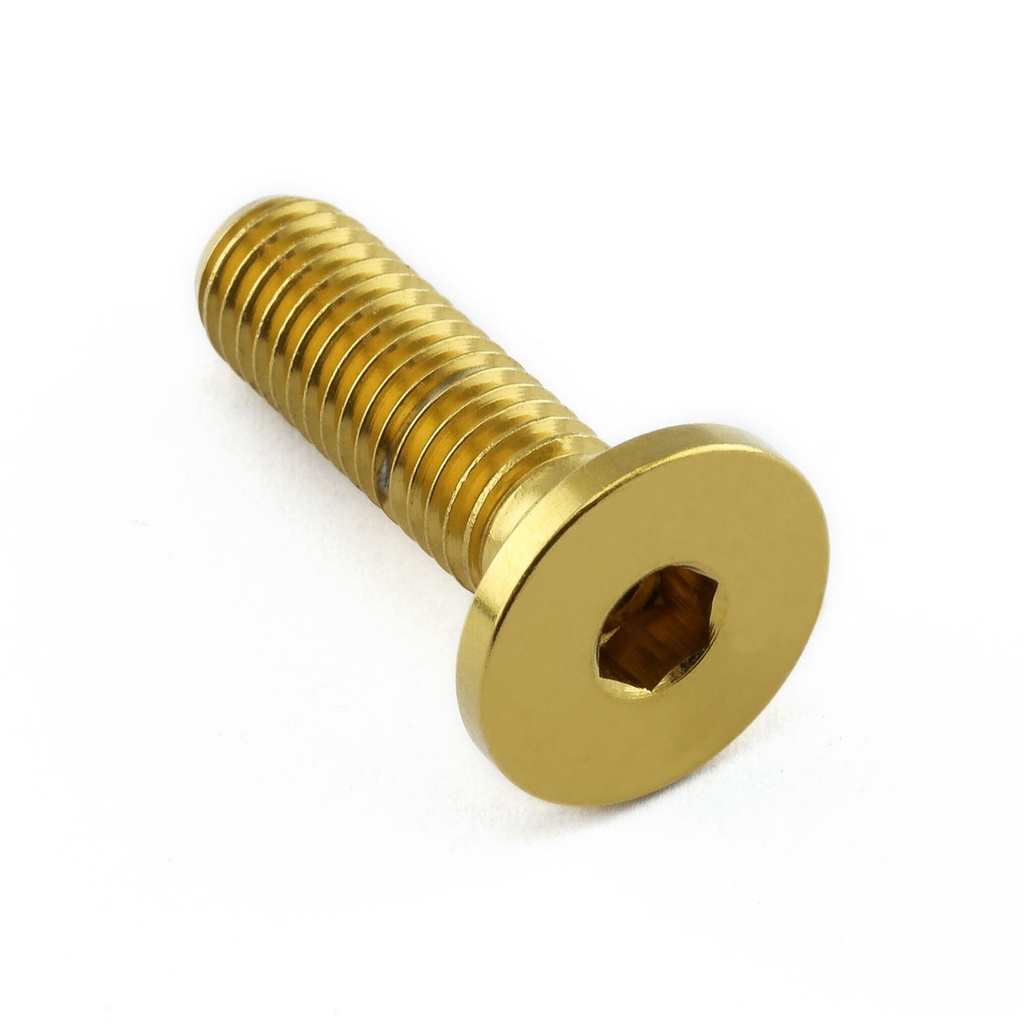 Pro-Bolt Stainless Steel Fuel Tank Mounting Bolt Kit