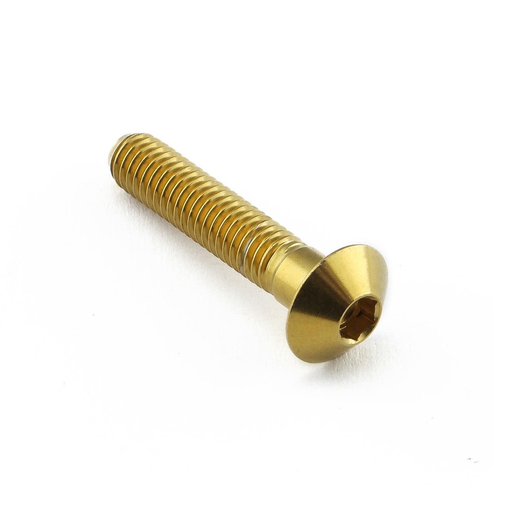 Pro-Bolt Stainless Steel Fuel Tank Mounting Bolt Kit