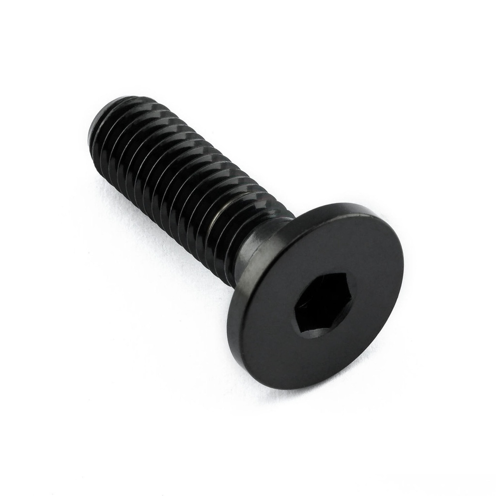 Pro-Bolt Stainless Steel Fuel Tank Mounting Bolt Kit
