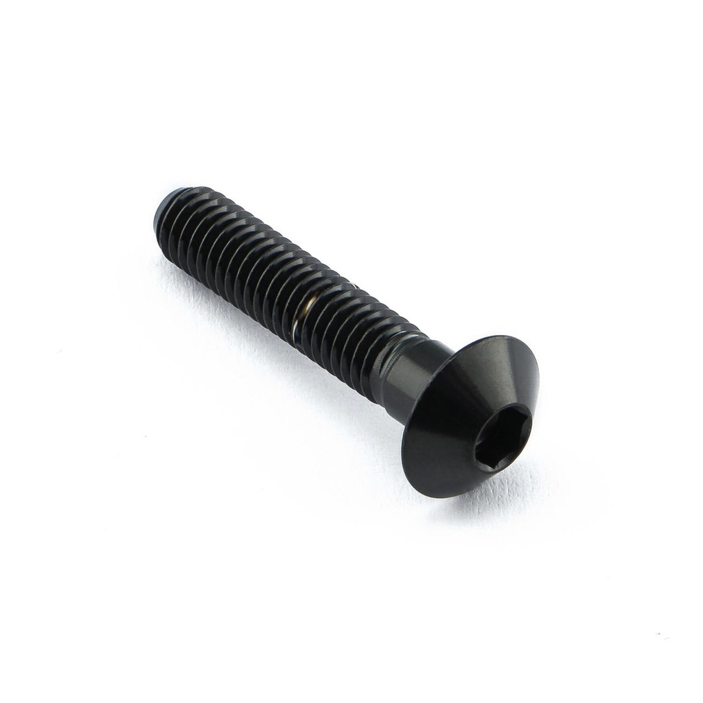 Pro-Bolt Stainless Steel Fuel Tank Mounting Bolt Kit