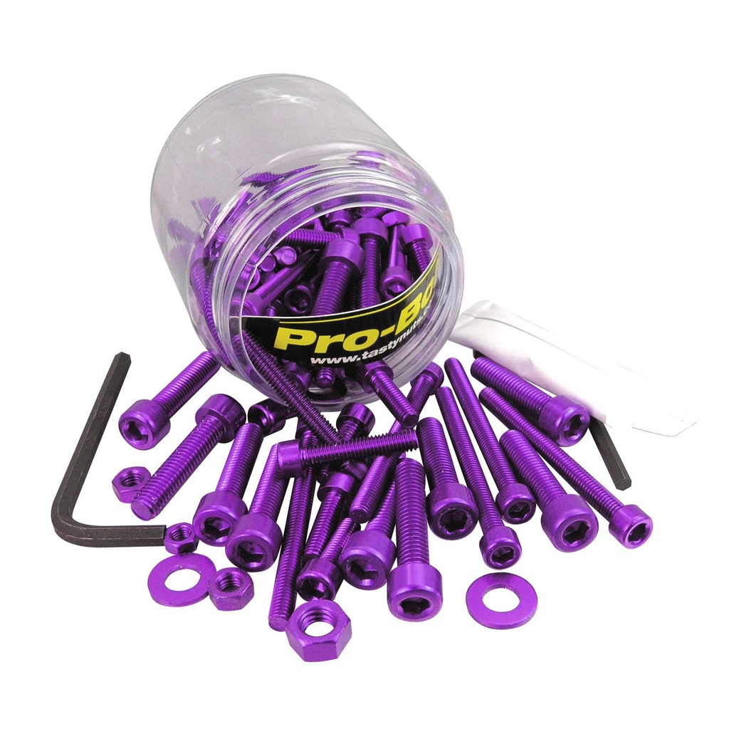 Pro-Bolt 100pc Alloy Workshop Tub - Allen Bolt Kit