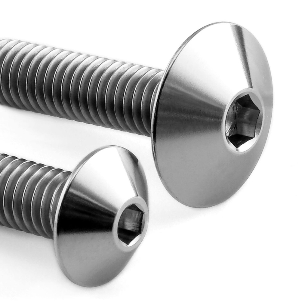 Pro-Bolt Titanium Mudguard & Hugger Bolt Kit