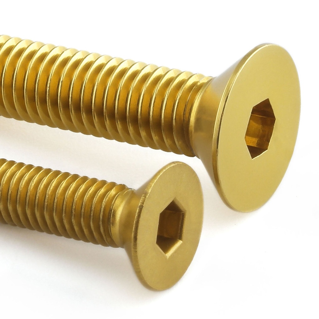 [AWFTBMW10G] Pro-Bolt Aluminium Fuel Tank Cap Bolt Kit