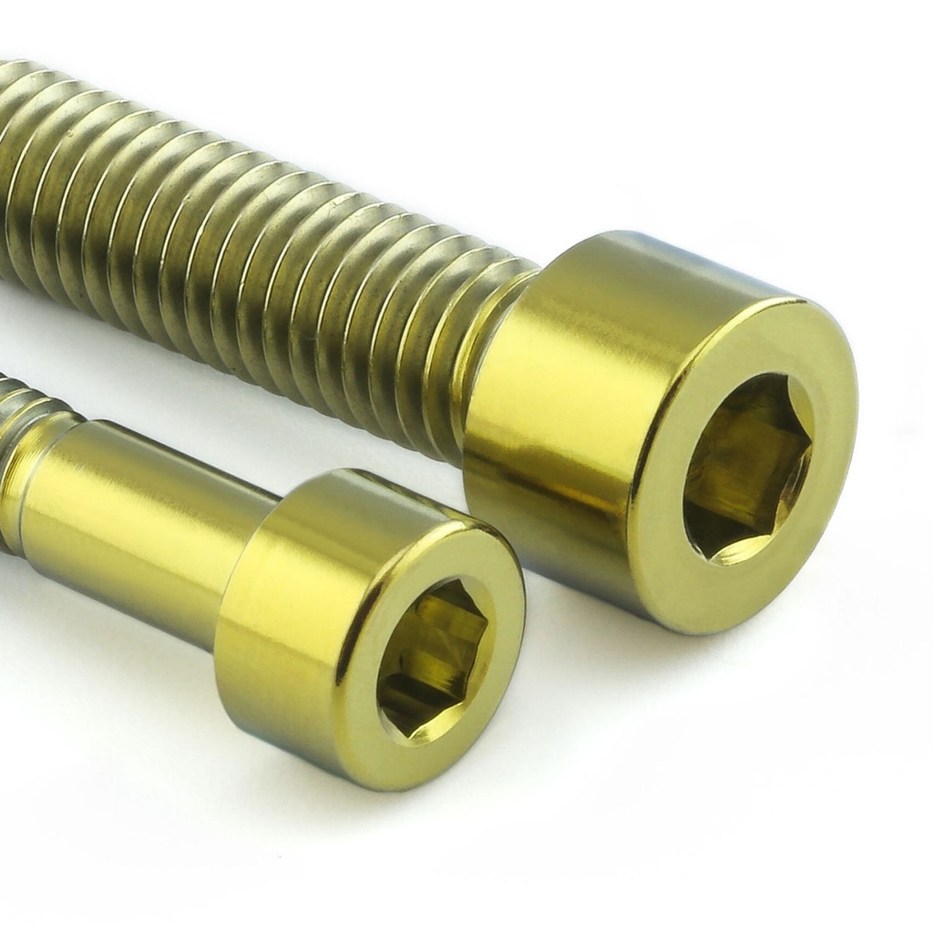 [AWFTBMW10TIG] Pro-Bolt Titanium Fuel Tank Cap Bolt Kit