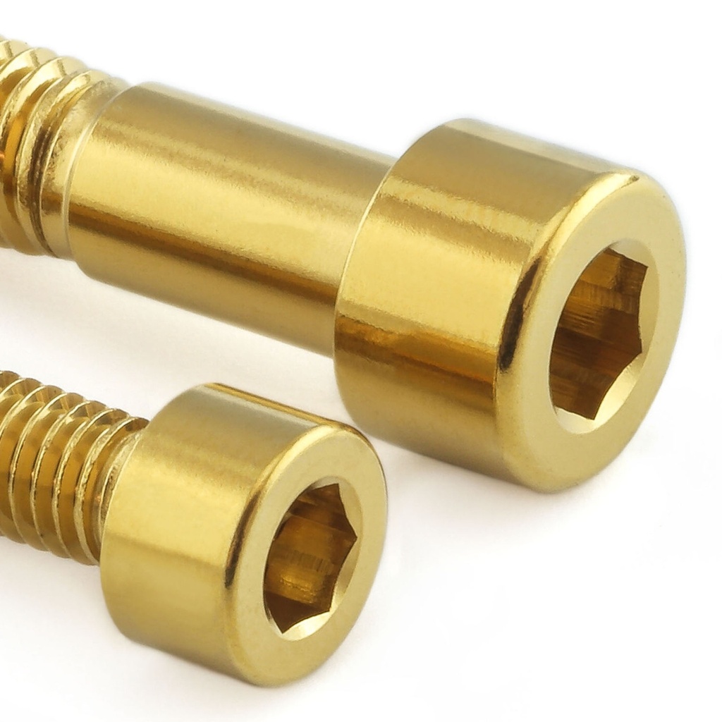 Pro-Bolt Stainless Steel Fuel Tank Cap Bolt Kit