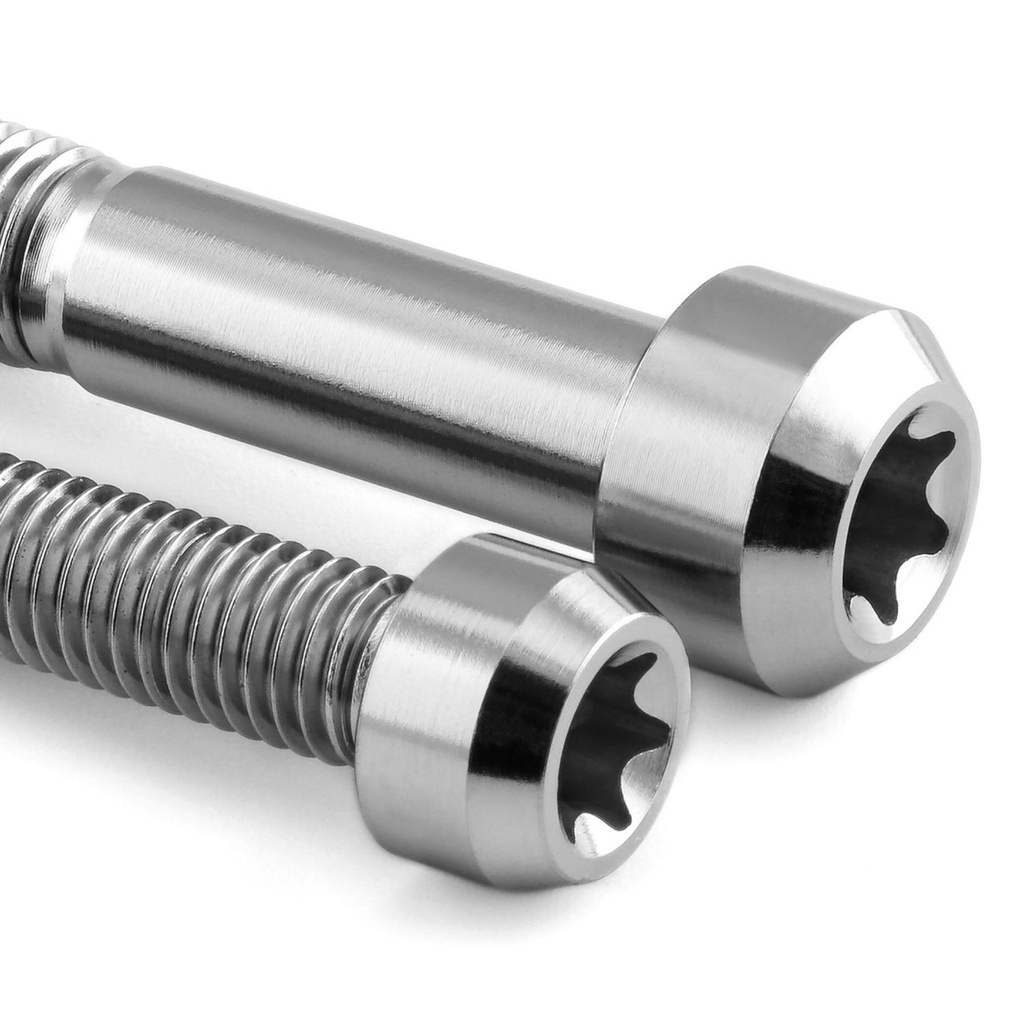 Pro-Bolt Titanium Mirror Mount Bolt Kit