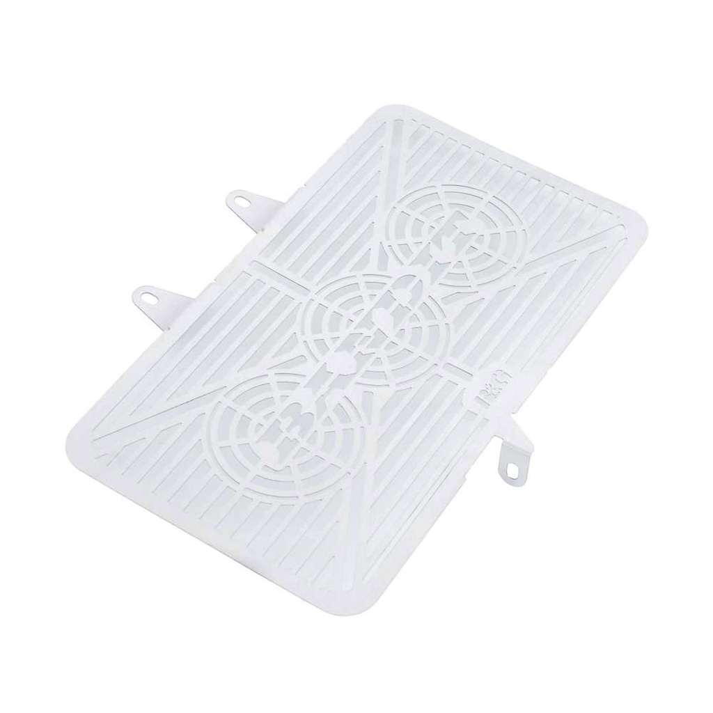 R&G Branded Motorcycle Radiator Guard