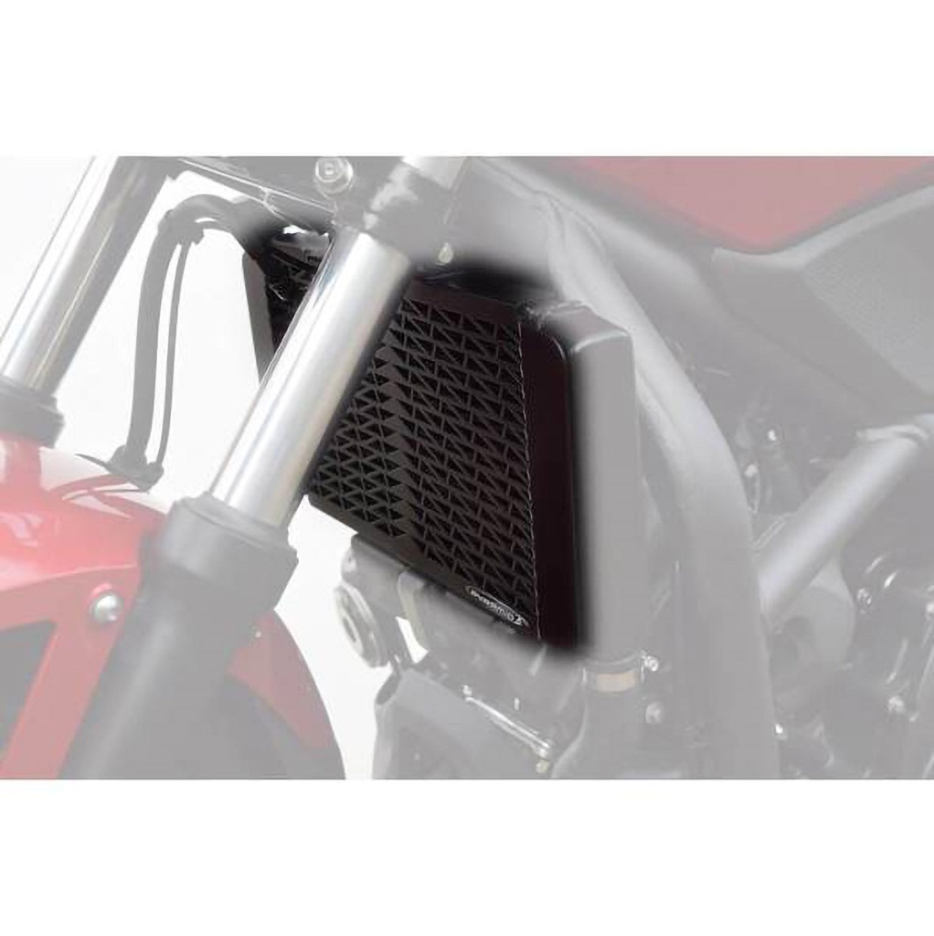 Pyramid Motorcycle Radiator Guard