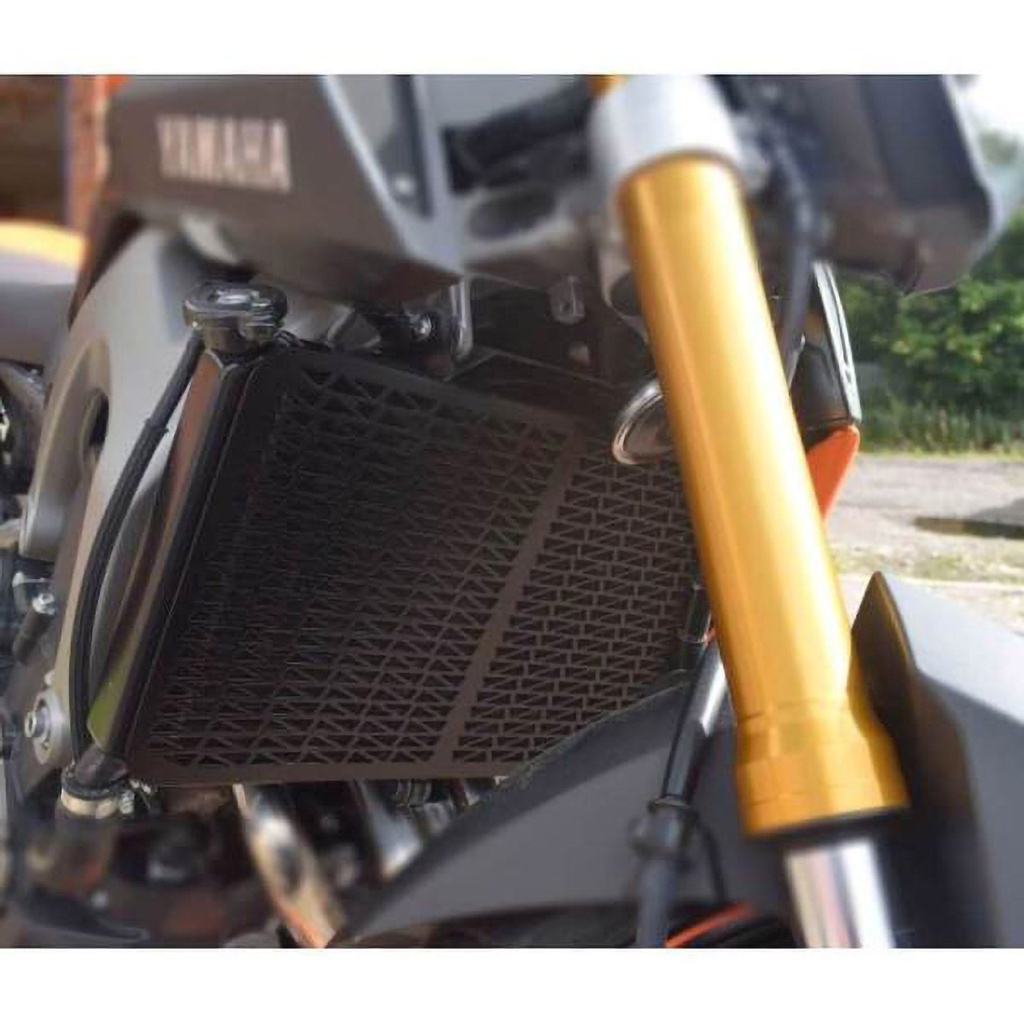 Pyramid Motorcycle Radiator Guard