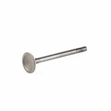 [LV555552] B&S Valve - Exhaust