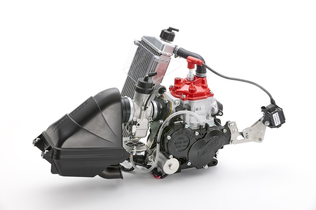 [ZZ220] Rotax 125 JUNIOR MAX EVO Engine Kit