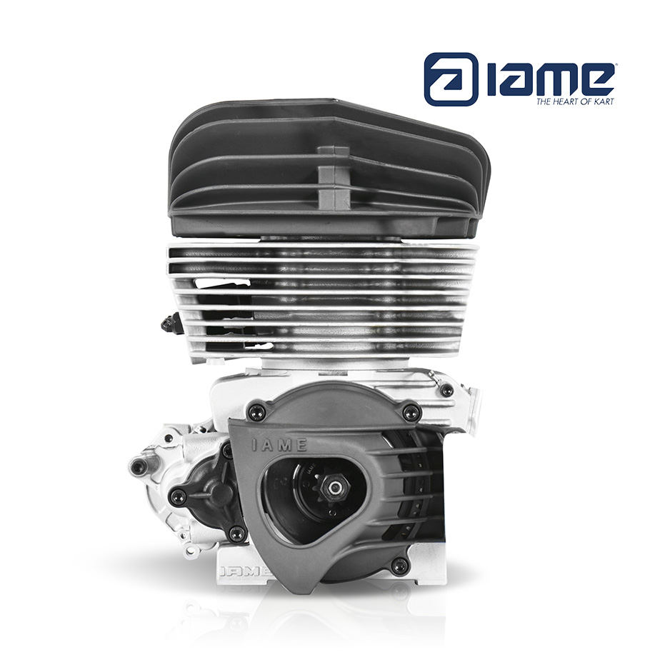 IAME KA100 Engine (with updated Bearings)