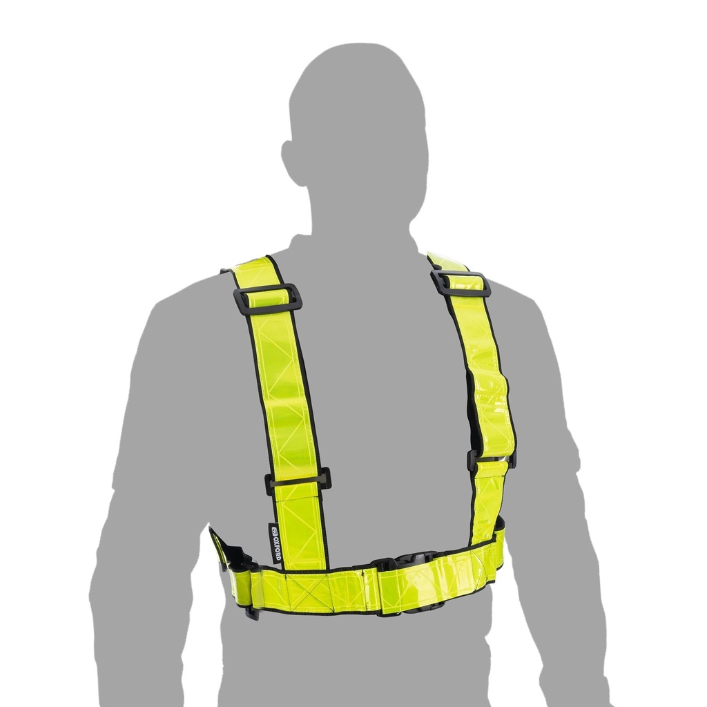 [OXFRE465] Oxford Bright H Belt