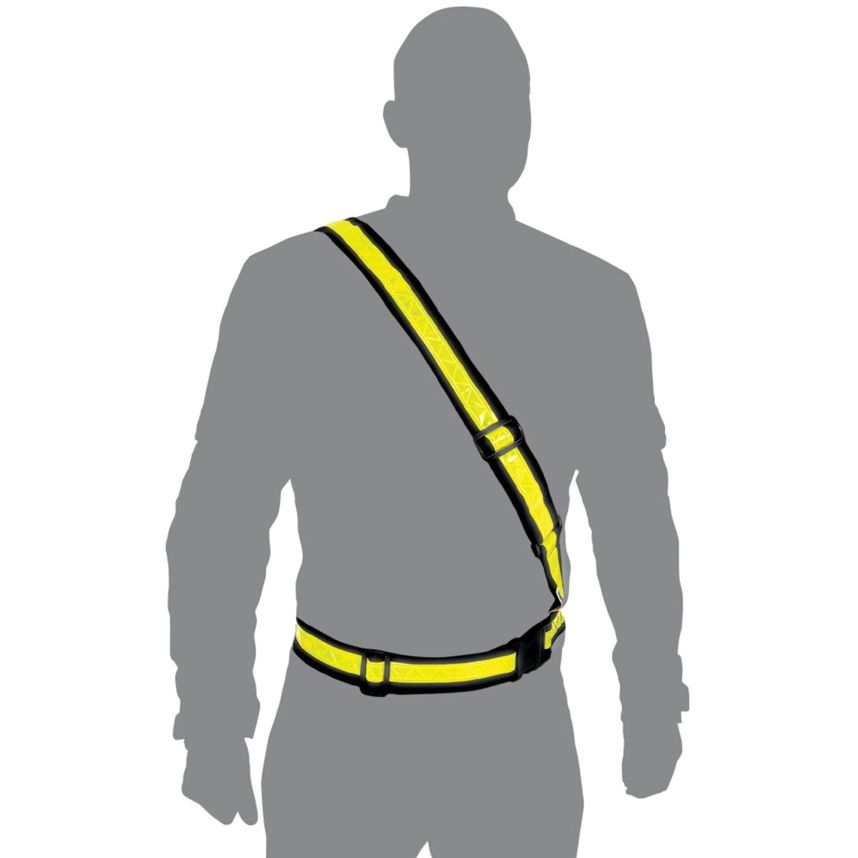 [2004436-3896940] Oxford Bright Belt (Large / X-Large)