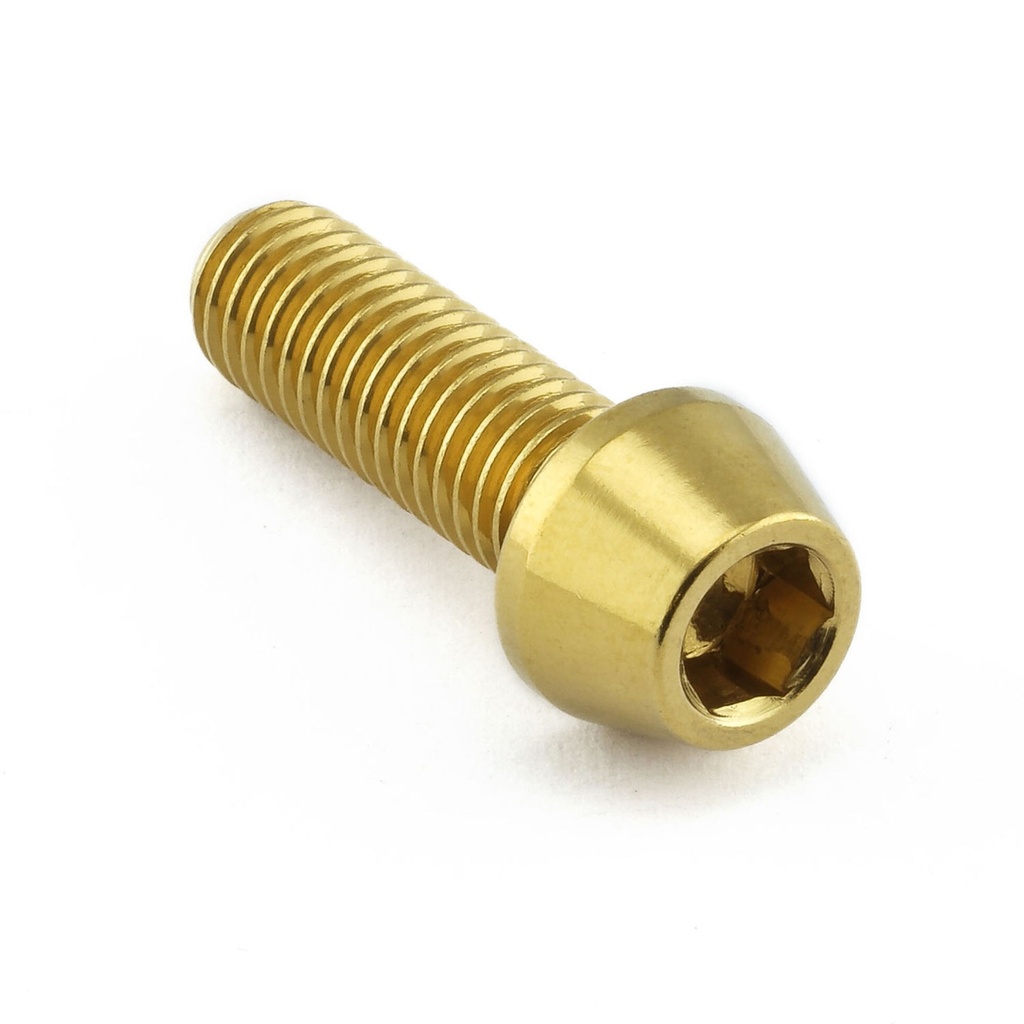Pro-Bolt Stainless Steel Rear Pannier Mount Bolt Kit