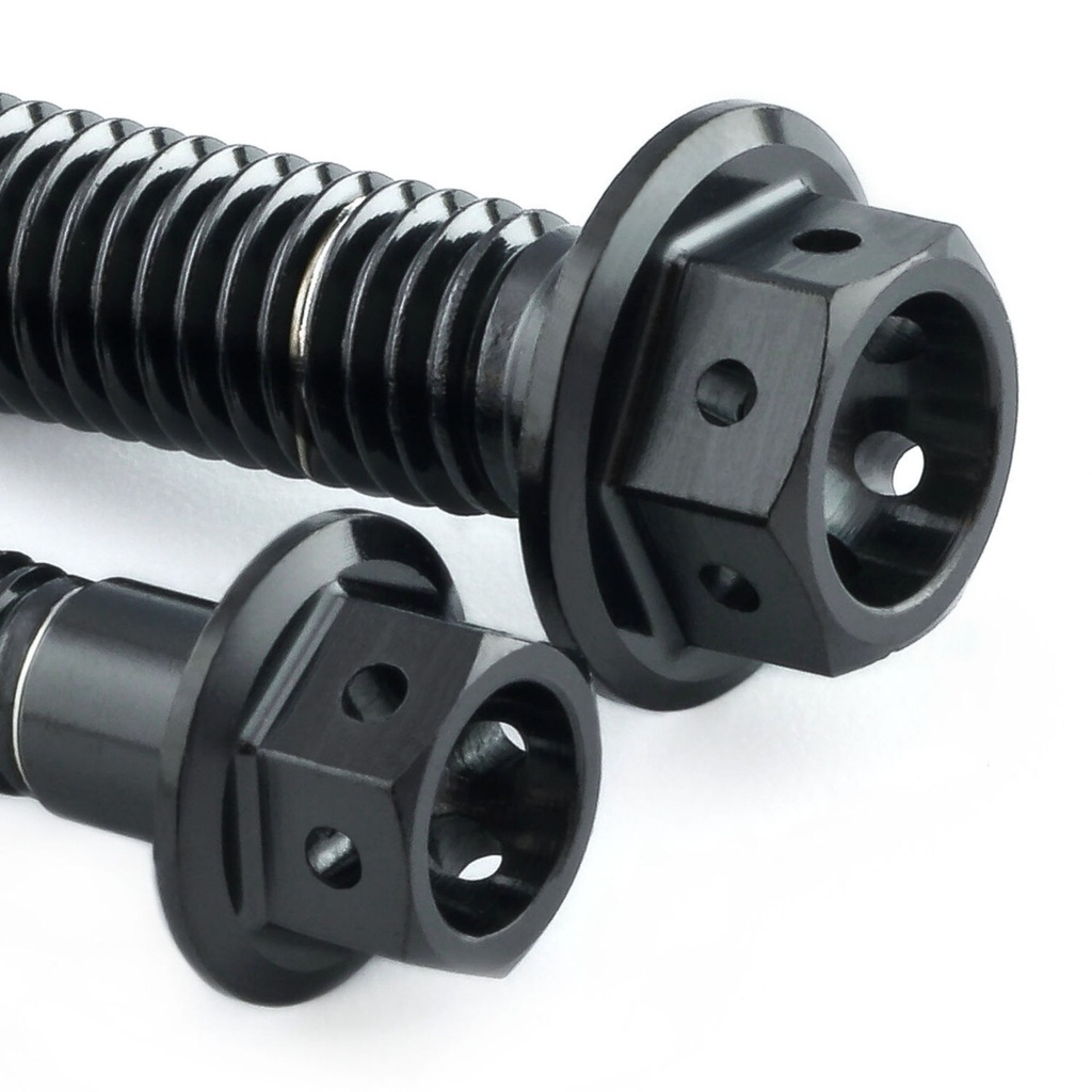 [AWFSSSPEEDOMOUNT20RBLK] Pro-bolt Stainless Steel Speedometer Mount Bolt Kit