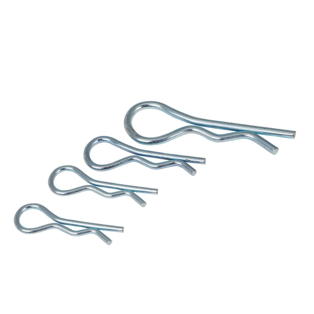 [DLP170] Demon Tweeks R Clip Assortment