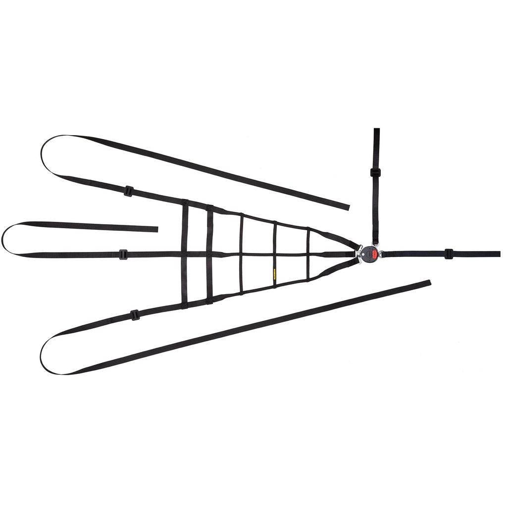 [2014471-2244610] Schroth 5 Point Push Button Interior Safety Net (Right Hand)