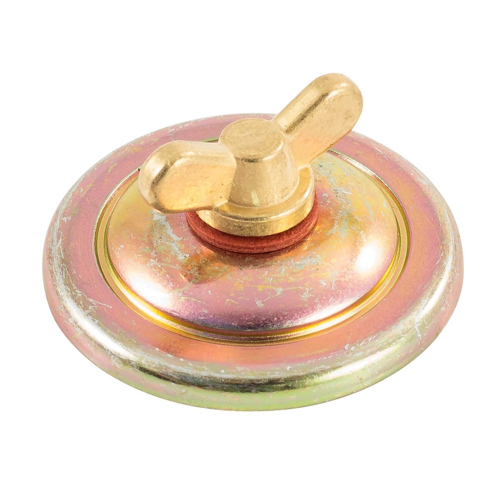 [A/A32376.003] Weber DCOE Jet Inspection Cover With Screw