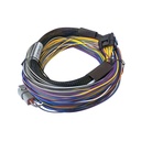 Haltech Universal Wiring Harness For Elite Model ECUs