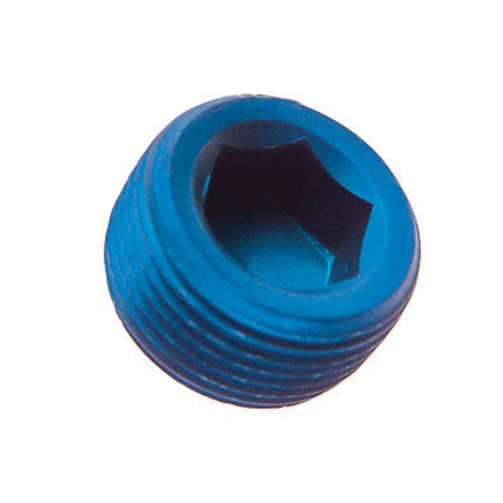 Goodridge Socket Head Blanking Plug With NPT Thread