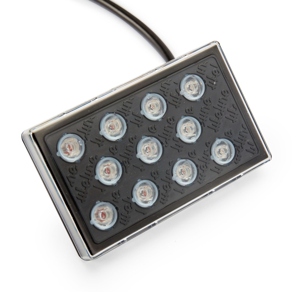Lifeline High Intensity LED Rainlight