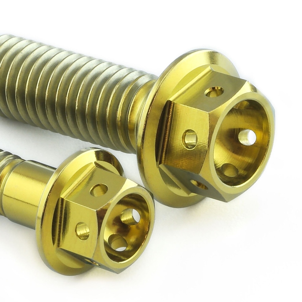 Pro-Bolt Titanium Engine Bolt Kit