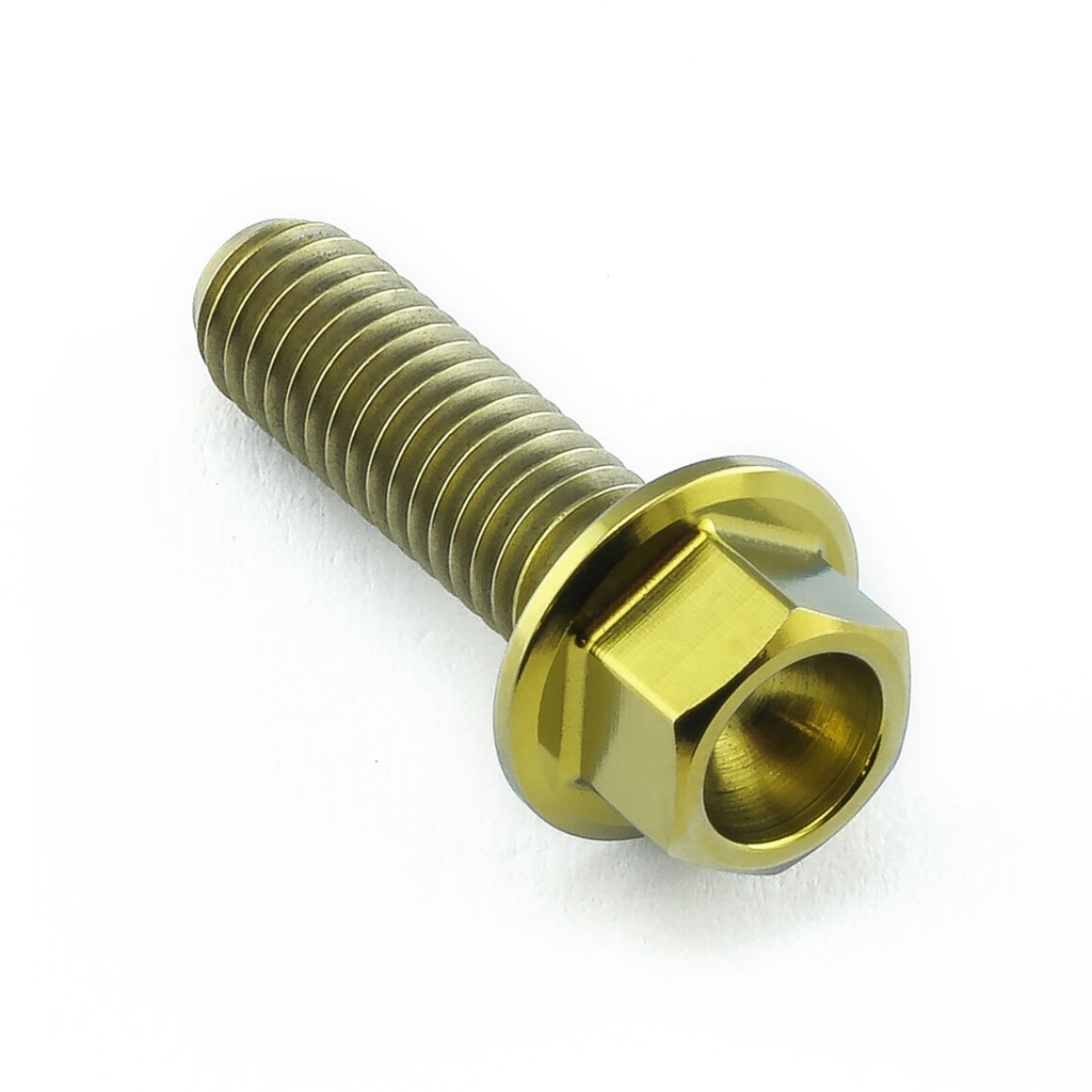Pro-Bolt Titanium Engine Bolt Kit