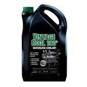 Hawk Waterless Coolants Vintage Cool 180° Engine Coolant
