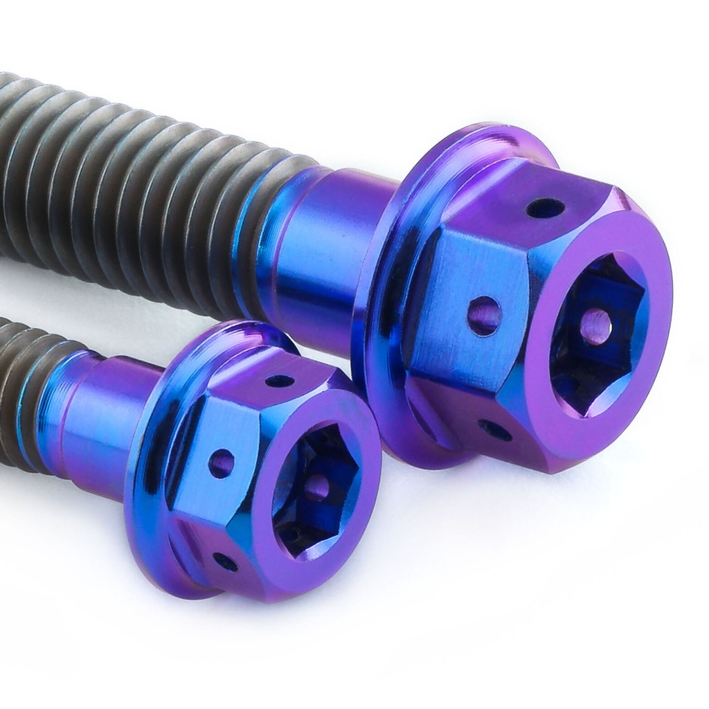 Pro-Bolt Titanium Engine Bolt Kit