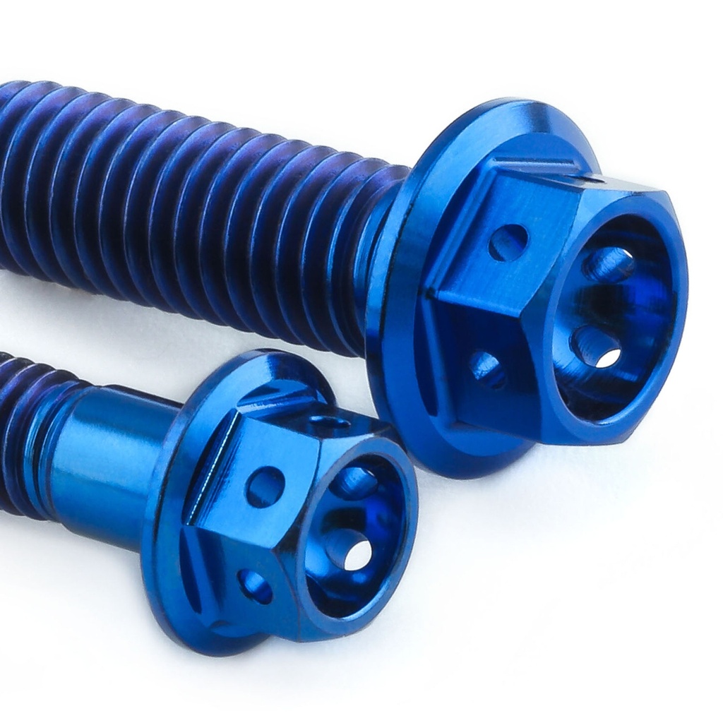 Pro-Bolt Titanium Engine Bolt Kit