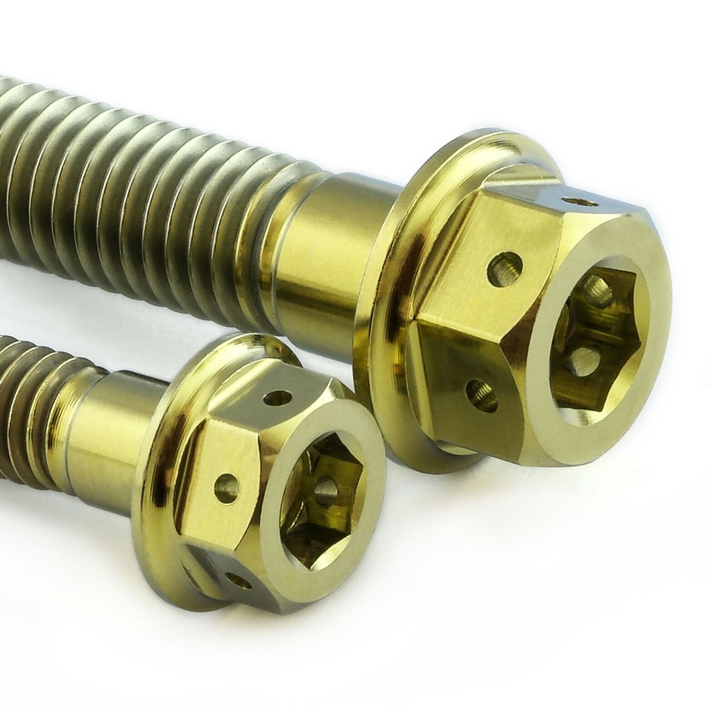 Pro-Bolt Titanium Engine Bolt Kit