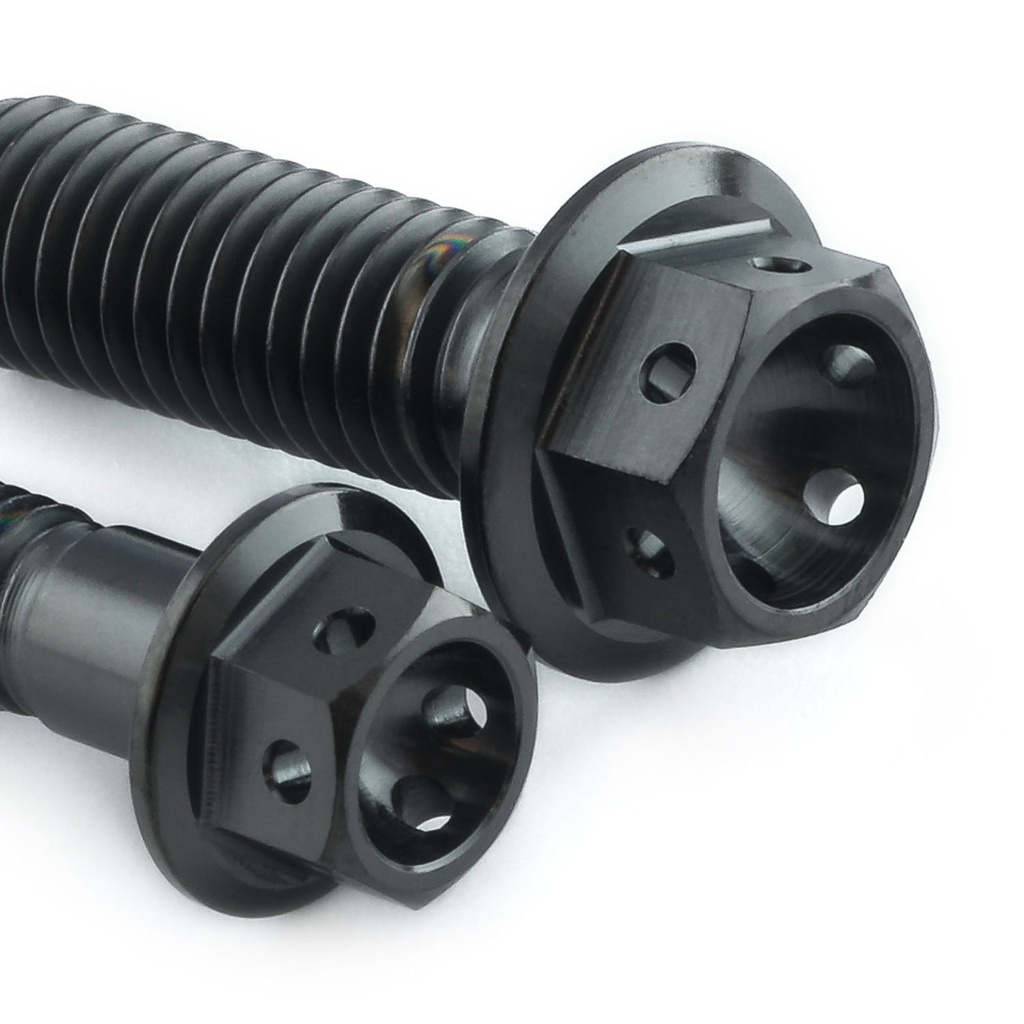 Pro-Bolt Titanium Engine Bolt Kit