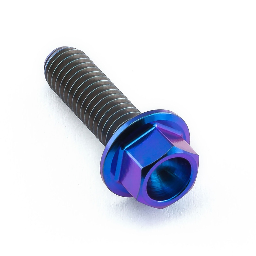 Pro-Bolt Titanium Engine Bolt Kit