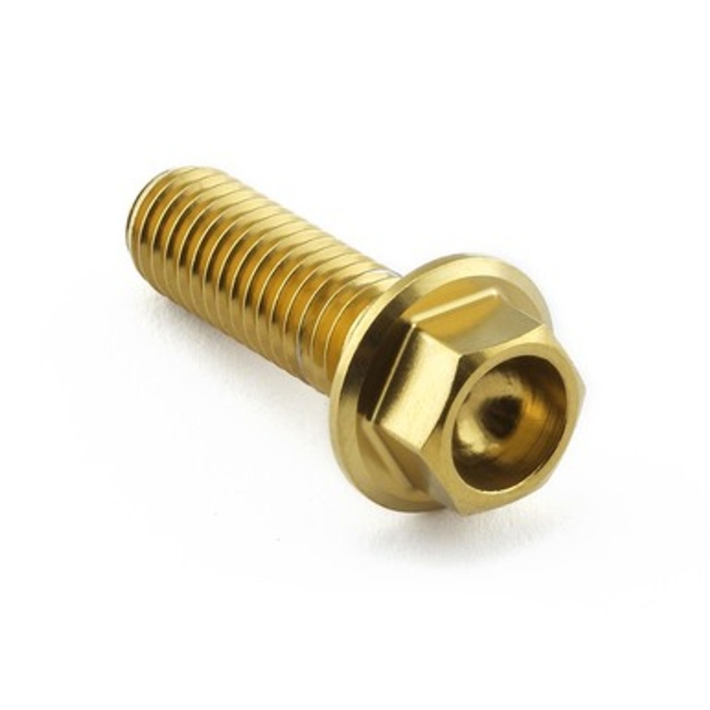 Pro-Bolt Stainless Steel Engine Bolt Kit