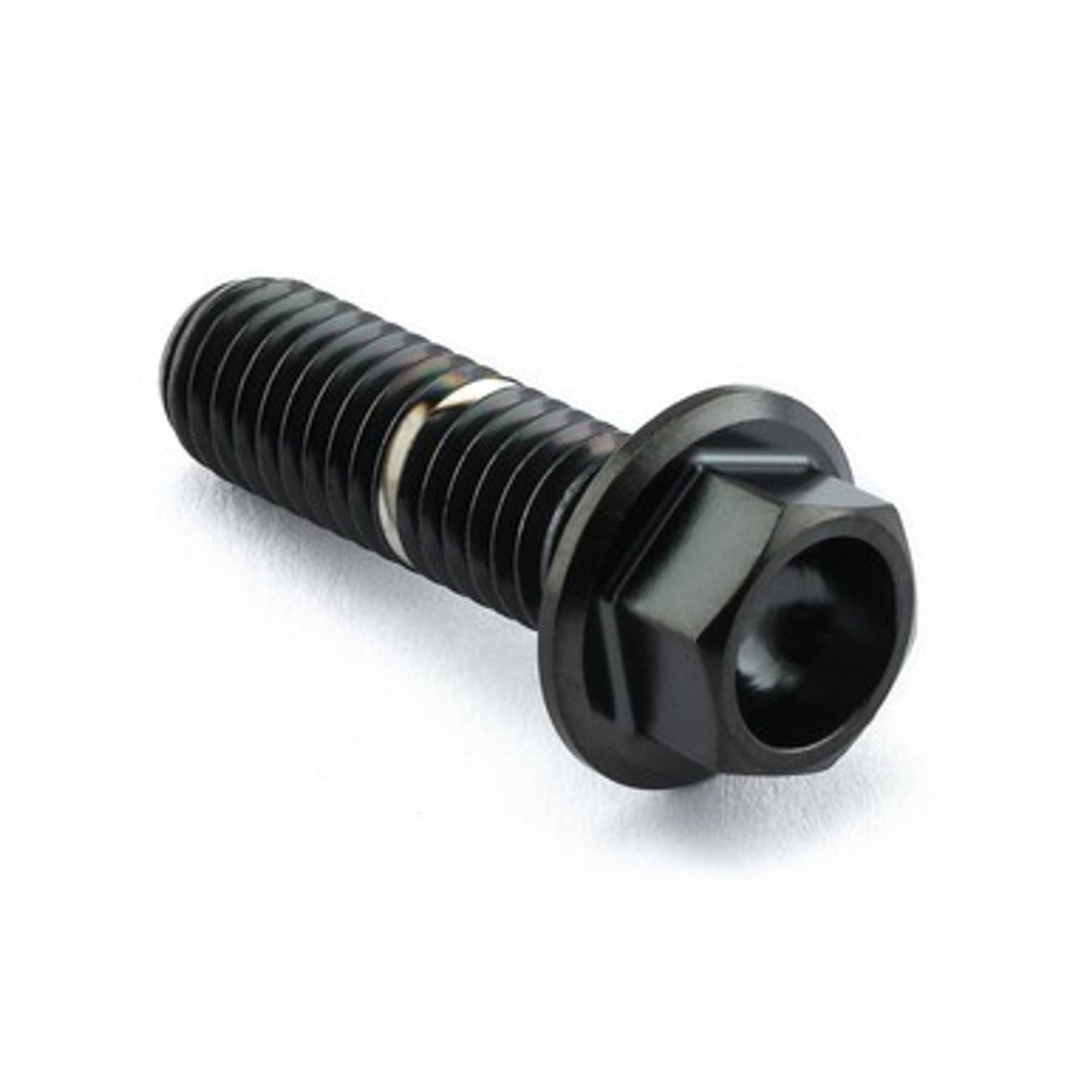 Pro-Bolt Stainless Steel Engine Bolt Kit